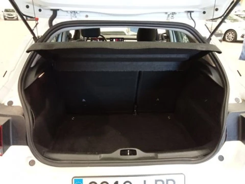 Citroën C4 Cactus BlueHDi 100 S&S Live