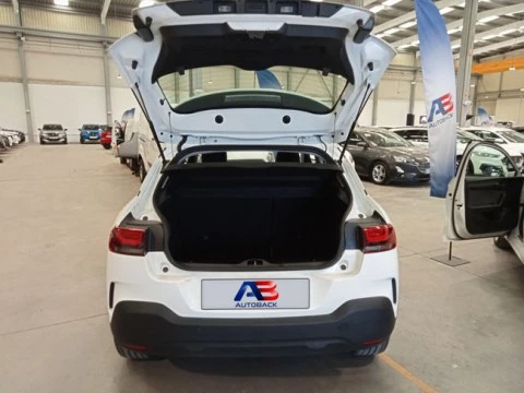Citroën C4 Cactus BlueHDi 100 S&S Live