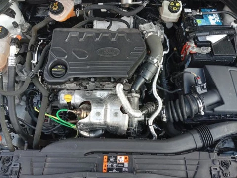 Ford Focus 1.5 Ecoblue 88kW Trend+ Auto SB