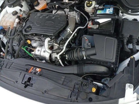 Ford Focus 1.5 Ecoblue 88kW Trend+ Auto SB