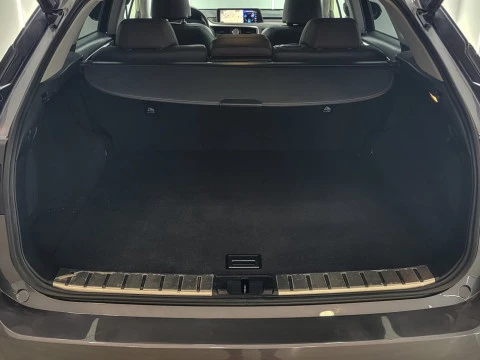 Lexus RX 450h Business