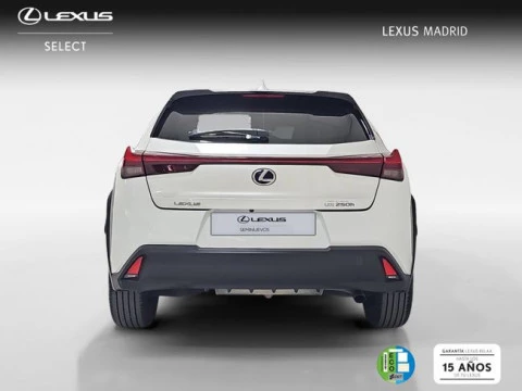 Lexus UX 2.0 250h Business