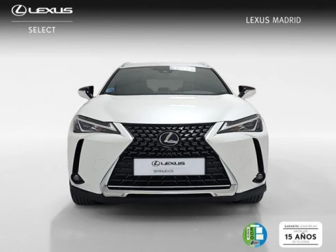 Lexus UX 2.0 250h Business