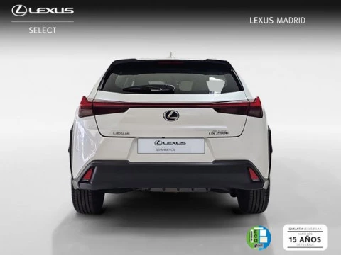 Lexus UX 2.0 250h Business