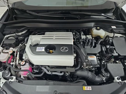Lexus UX 2.0 250h Business