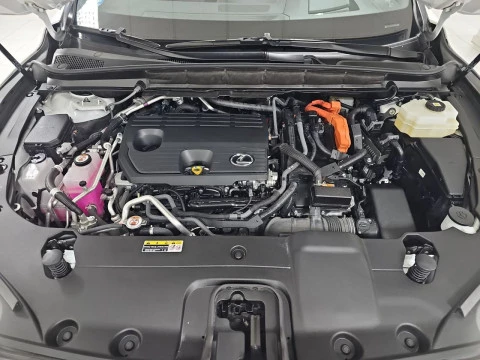 Lexus RX 450h+ Executive