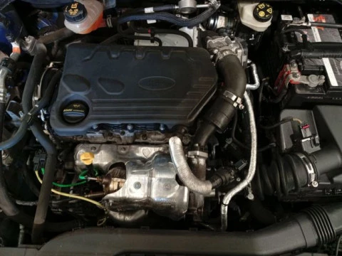 Ford Focus 1.5 Ecoblue 88kW Trend+ Auto SB