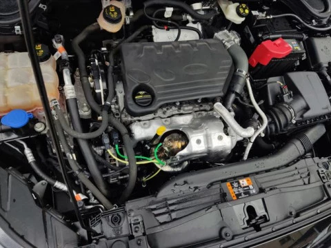 Ford Focus 1.5 Ecoblue 88kW Trend+ Auto SB