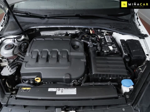 Volkswagen Golf Advance 1.6 TDI 85 kW (115 CV)