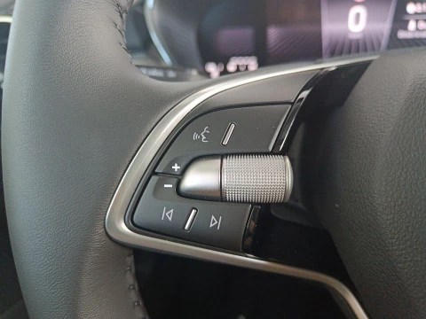 Skoda Fabia 1.0 TSI 70KW (95CV) Selection