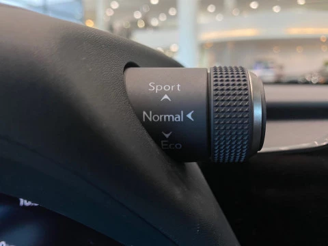 Lexus UX 2.0 300h F Sport