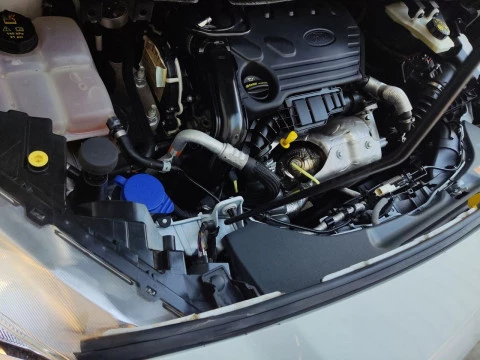 Ford Transit Connect Van 1.5 TDCi 55kW Trend 200 L1 4 Puertas