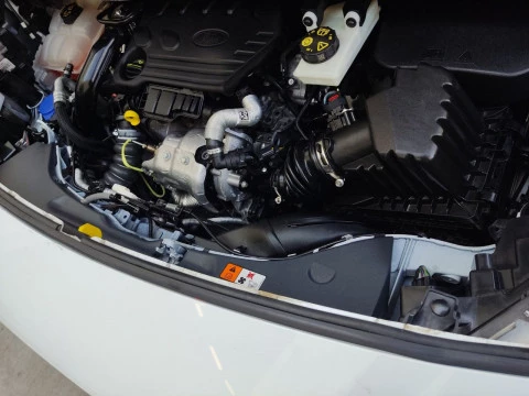 Ford Transit Connect Van 1.5 TDCi 55kW Trend 200 L1 4 Puertas