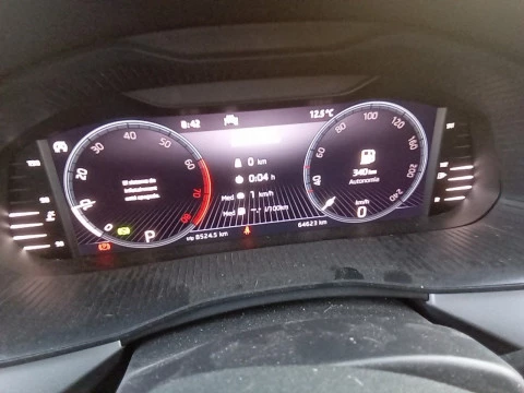 Skoda Kamiq 1.0 TSI 81kW (110CV) DSG AMBITION