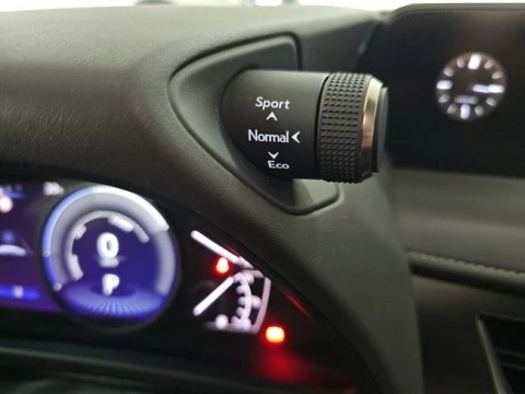 Lexus UX 2.0 250h Premium