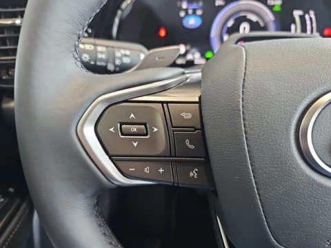 Lexus NX 450h+ Premium+ 4WD