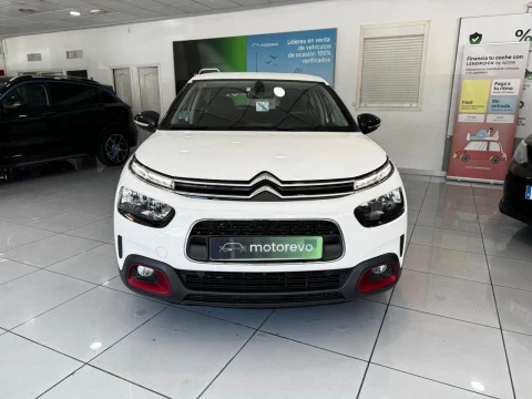 Citroën C4 Cactus 1.5 BlueHDi 96kW S&S feel 100