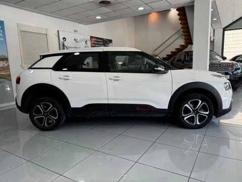 Citroën C4 Cactus 1.5 BlueHDi 96kW S&S feel 100