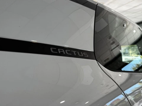 Citroën C4 Cactus 1.5 BlueHDi 96kW S&S feel 100