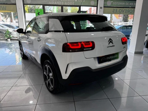 Citroën C4 Cactus 1.5 BlueHDi 96kW S&S feel 100