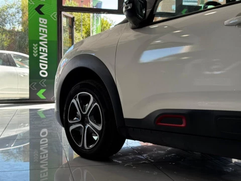 Citroën C4 Cactus 1.5 BlueHDi 96kW S&S feel 100