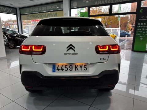 Citroën C4 Cactus BlueHDi 100 S&S Live