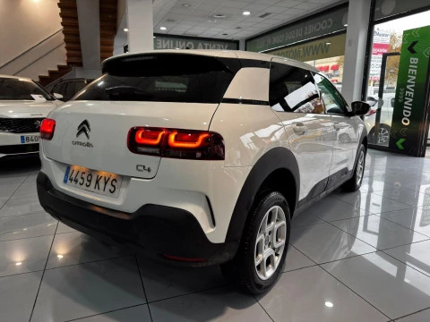 Citroën C4 Cactus BlueHDi 100 S&S Live