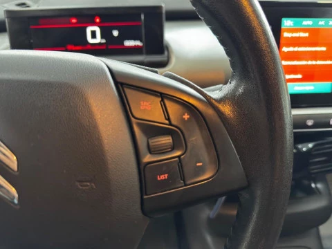 Citroën C4 Cactus BlueHDi 100 S&S Live