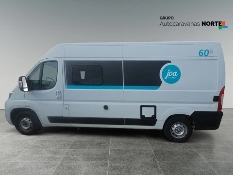 PILOTE JOA CAMP 60G 60G