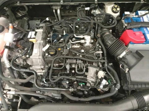 Ford Focus 1.0 Ecoboost MHEV 92kW Trend+