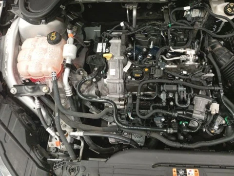 Ford Focus 1.0 Ecoboost MHEV 92kW Trend+