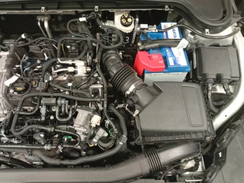 Ford Focus 1.0 Ecoboost MHEV 92kW Trend+