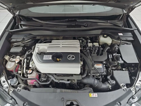 Lexus UX 2.0 250h Business