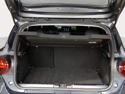 Dacia Sandero Stepway Expression TCe 67 kW (91 CV)