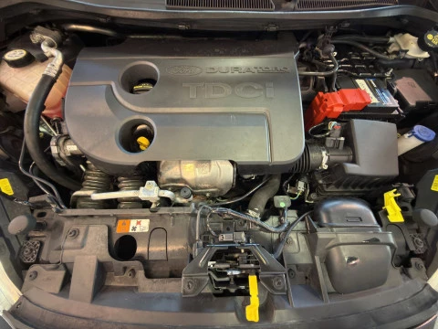 Ford Fiesta 1.6 TDCi 95cv Trend 5p