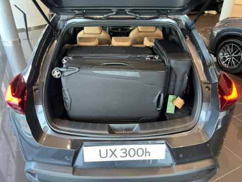 Lexus UX 2.0 300h UX Plus