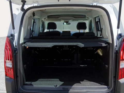 Peugeot Rifter Active Pack Business Standard BlueHDi 73 kW (100 CV)