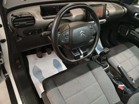 Citroën C4 Cactus BlueHDi 100 S&S C-Series