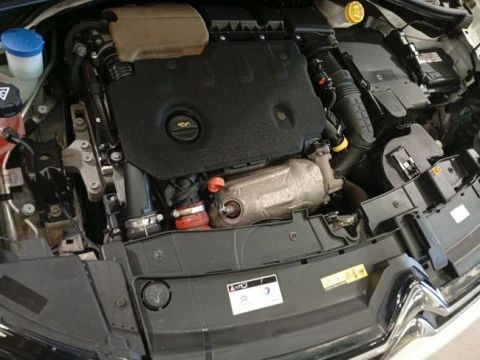 Citroën C4 Cactus BlueHDi 100 S&S C-Series