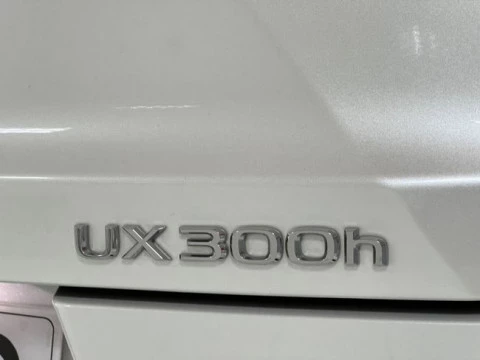Lexus UX 2.0 300h UX Plus