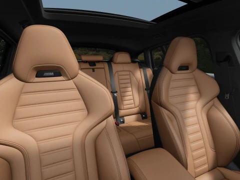 BMW X4 xDrive20d xLine