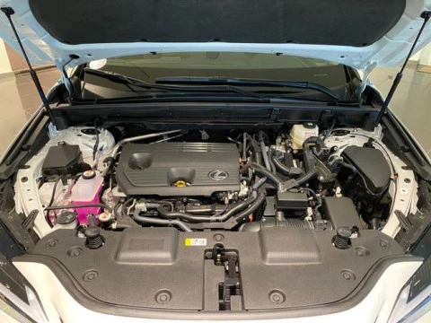 Lexus NX 350h Premium+ 2WD