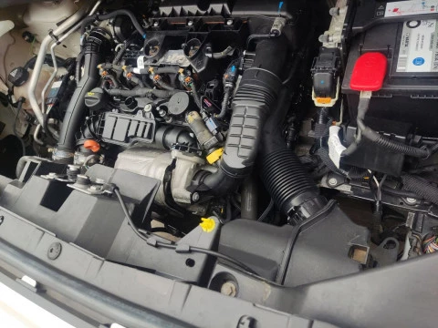 Opel Combo 1.5 TD S/S 75kW (100CV) Express L H1 650