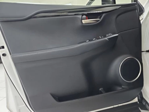 Lexus NX 2.5 300h Business Navigation 2WD