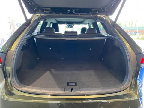 Lexus RX 450h+ Executive+