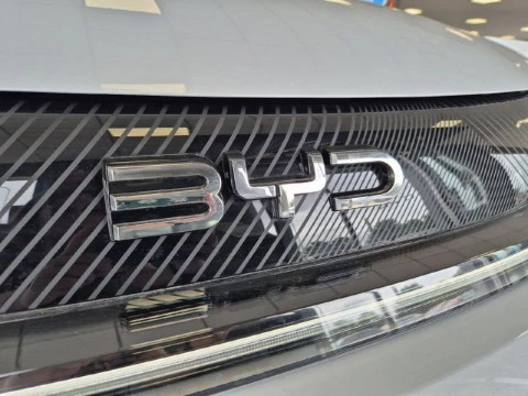 BYD DOLPHIN SURF Comfort