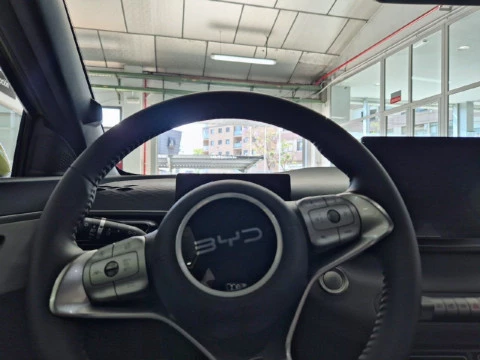 BYD DOLPHIN SURF Comfort