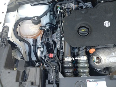 Citroën C4 BlueHDi 110 S&S Live Pack