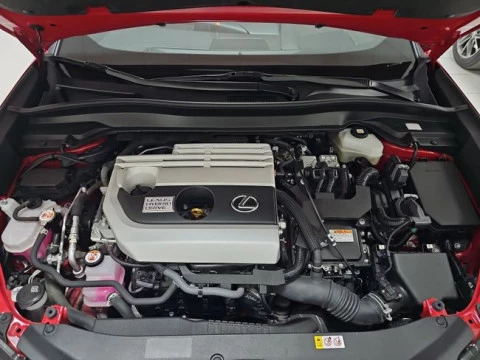 Lexus UX 2.0 250h Business