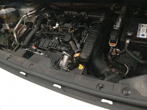 Citroën Berlingo Talla XL BlueHDi 100 CONTROL